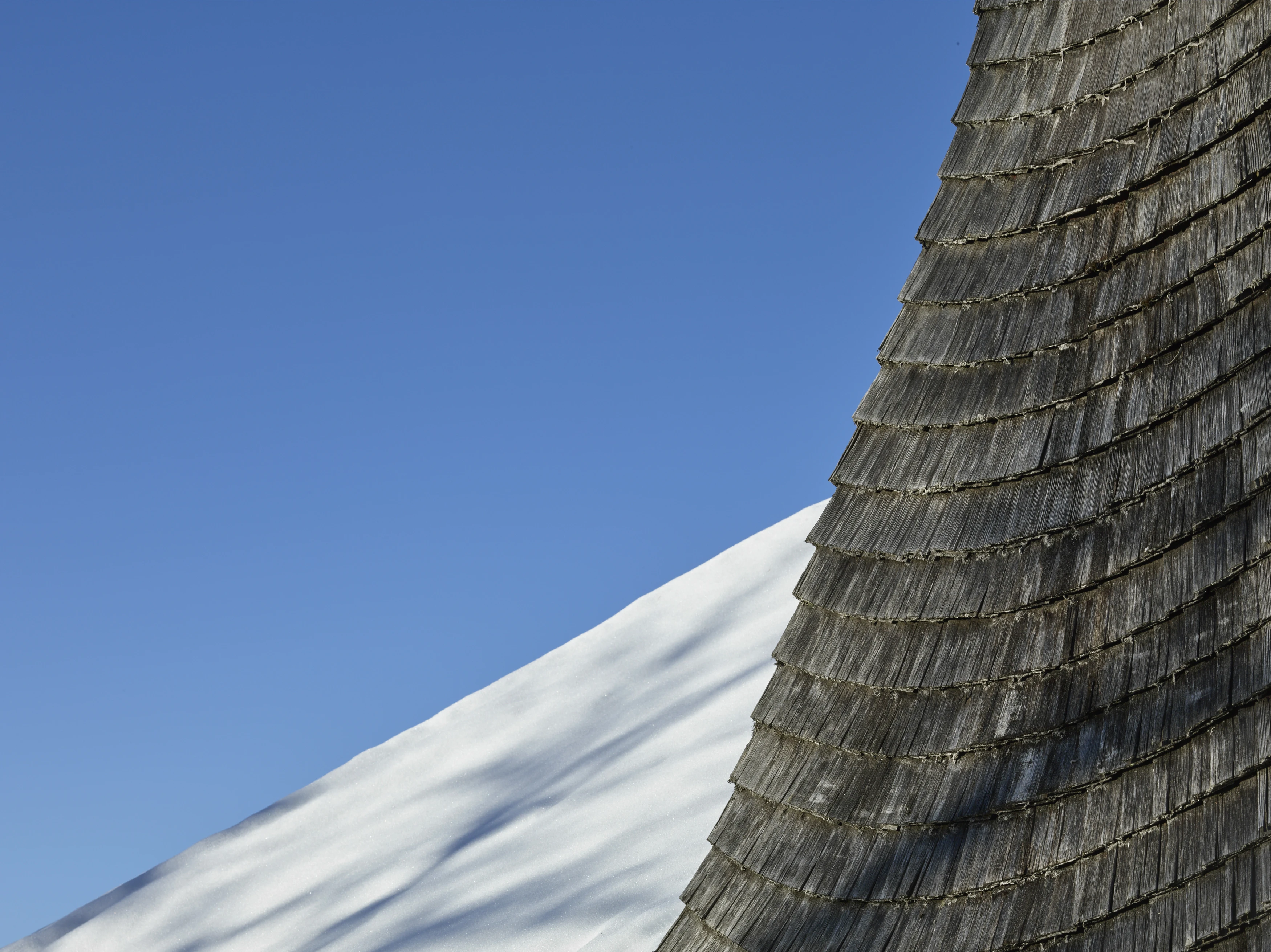 VD_florian-despond-tavillonneur-toit-©davidgagnebindebons.jpg