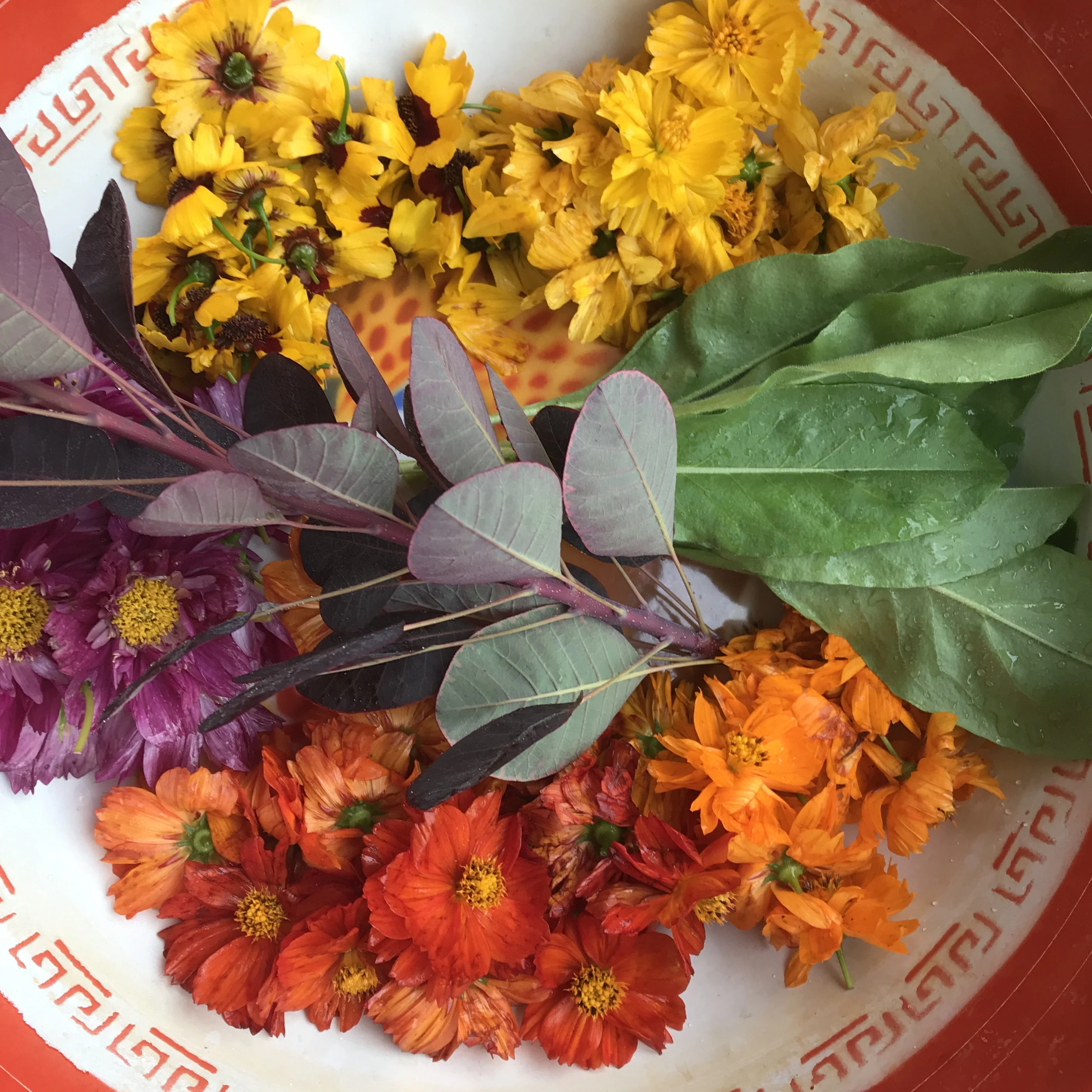 VD-martine-fiaux-porchet-teinture-vegetale-fleurs.jpg