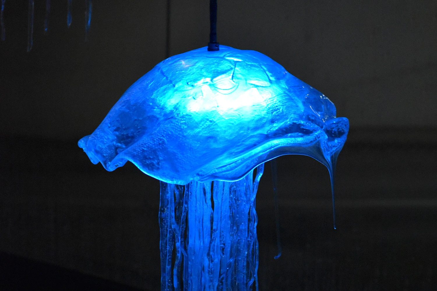 VD_cecile_delanoe_peintre_verre_lampe-jema24.jpeg