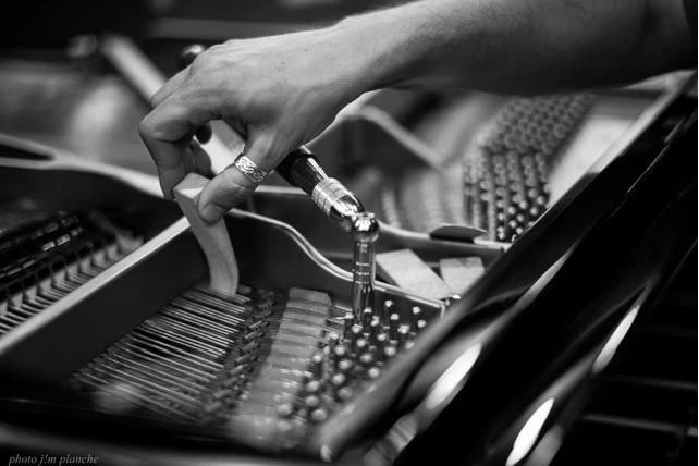 VD_matthias-maurer-facteur-pianos-geste.jpg