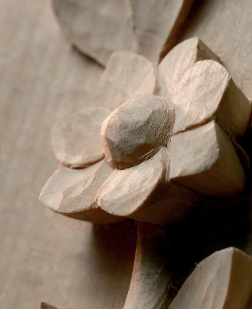 GE-ASMA-Gaspard-Meier-charpentier-fleur-©Gregory Bindschedler.png