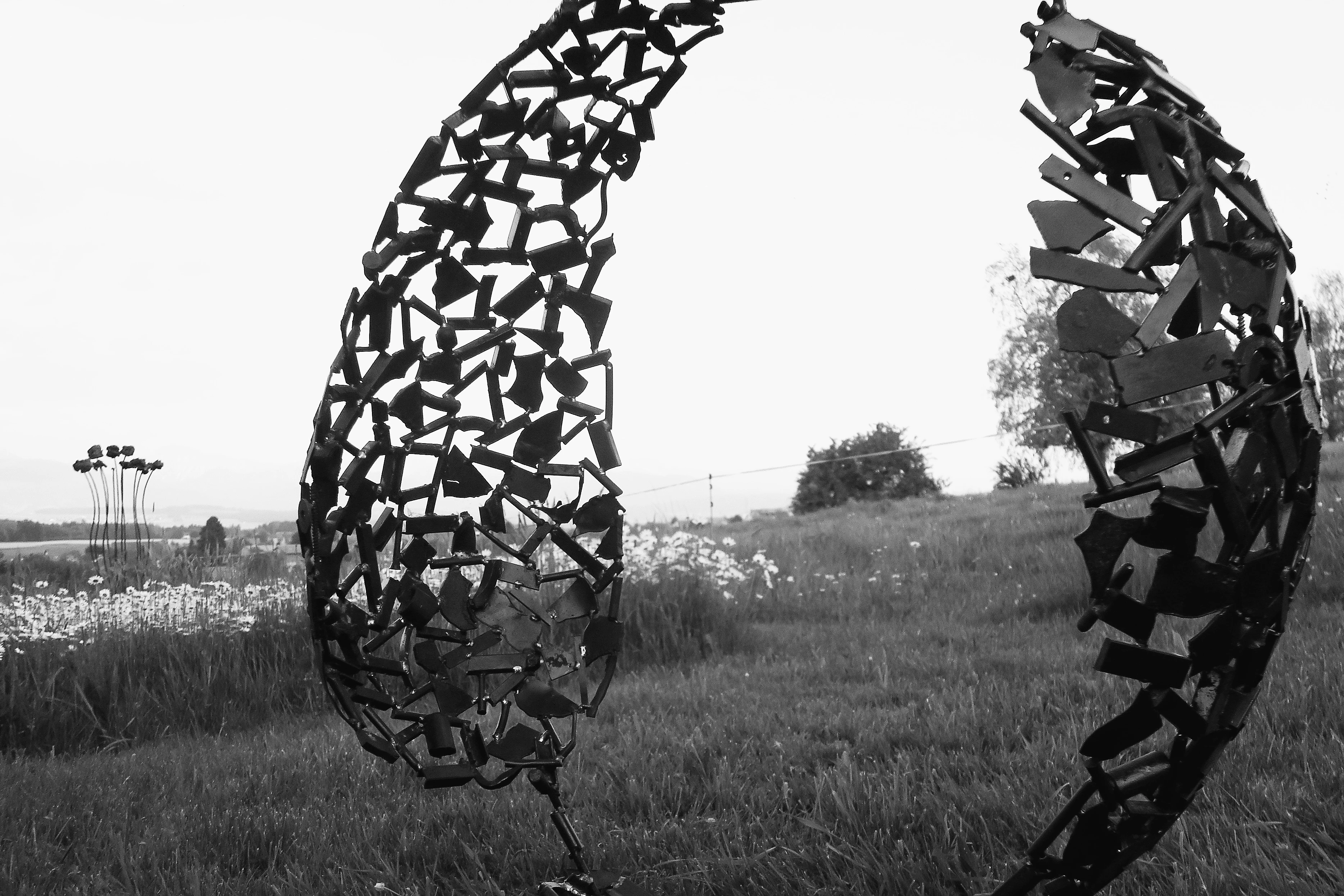 VD_vincent-desmeules-ferronnier-feuilles.jpg
