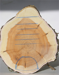 VD_blaise-fontannaz-facteur-arcs-bois.jpg