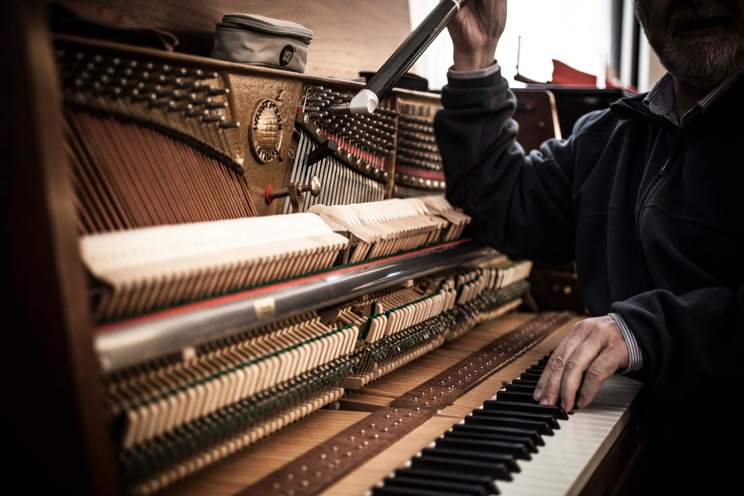TI-Lukas-Fröhlich-facteur-piano-geste-2.jpg