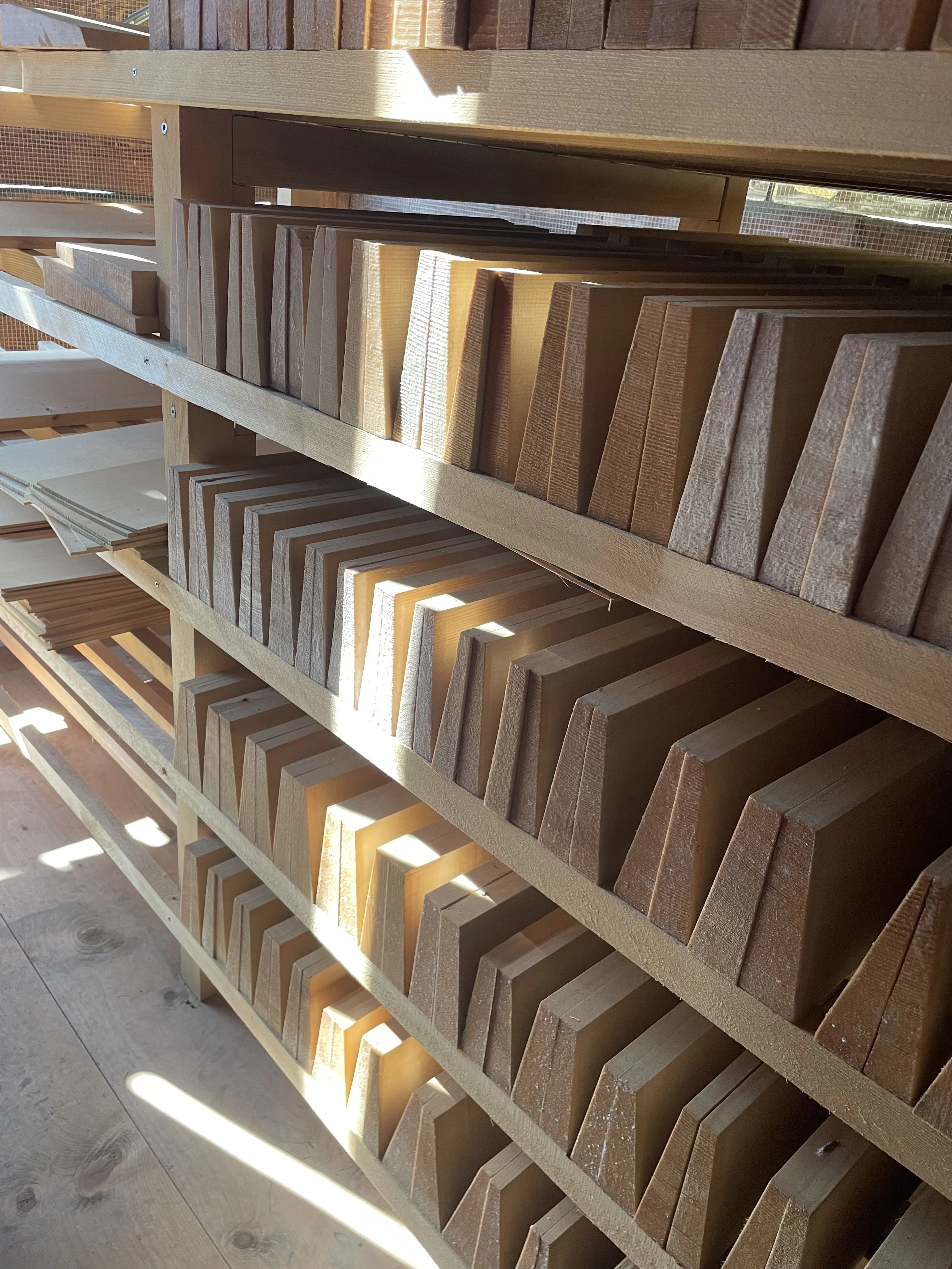 Xylotheque_Rougemont_IMG_6761_Photo julieV_03.2025 copie.jpg