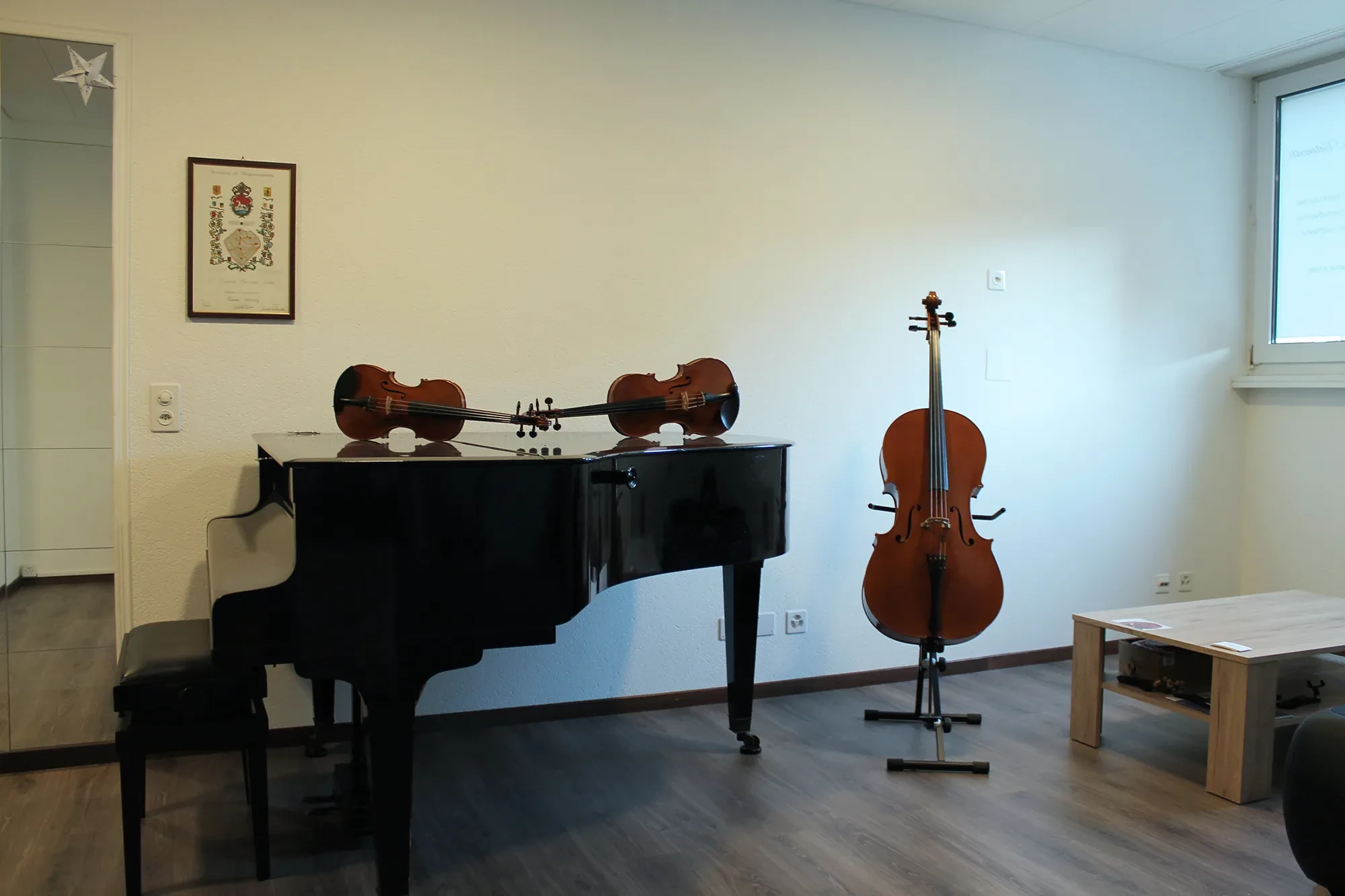 TI-Pascal-Hornung-luthier-violons.jpg