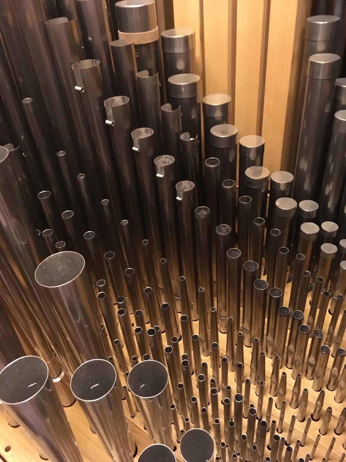 VS_annette-fuglister-sermier-factrice-orgue-tube.jpg