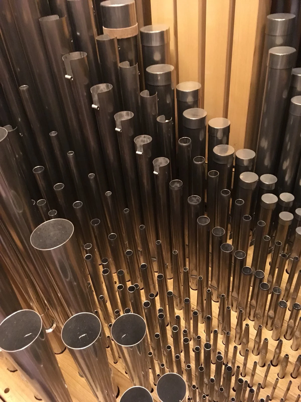 VS_annette-fuglister-sermier-factrice-orgue-tube.jpg