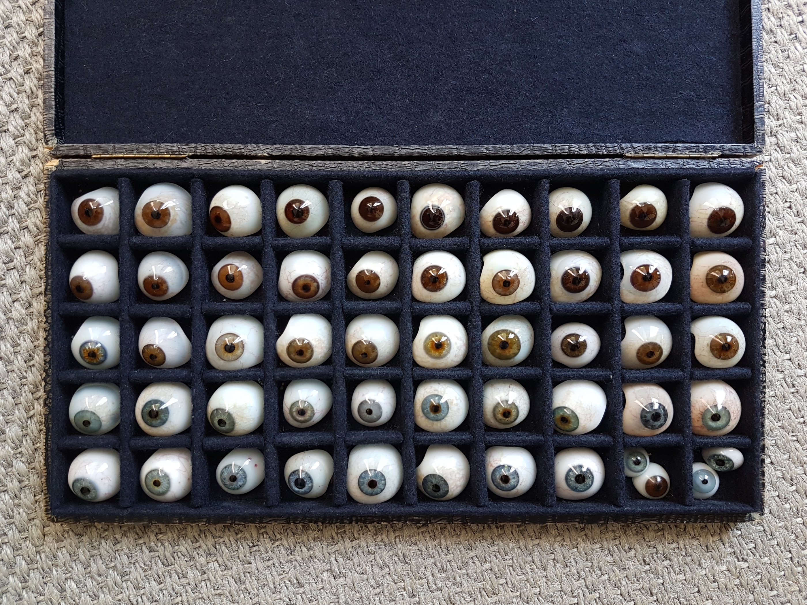 20240728-Milena-Buckel-©Milena Buckel-c.jpg