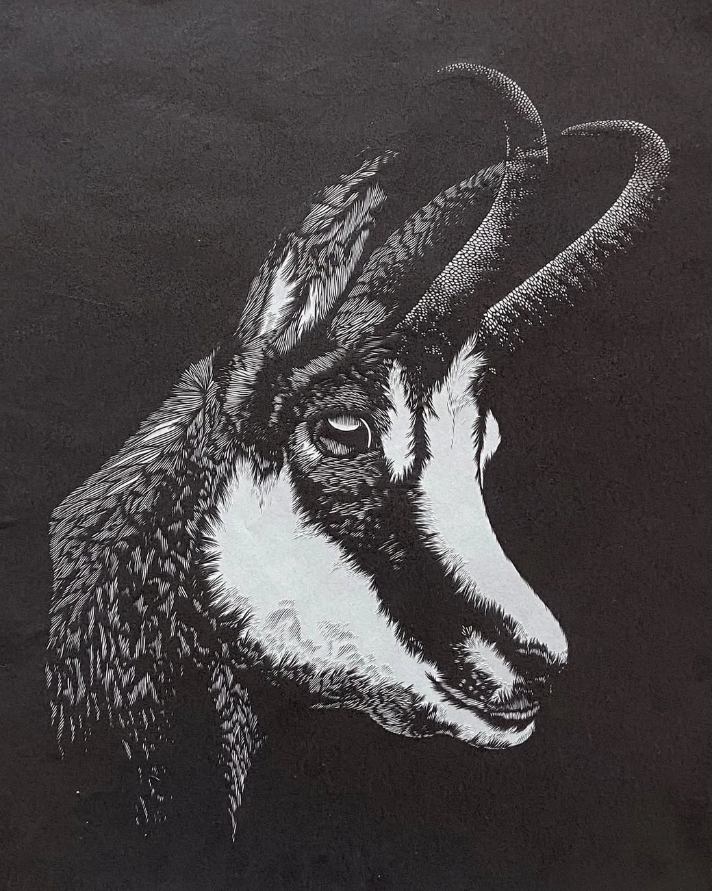 BE-Marc-Schweizer-decoupeur-papier-chamois