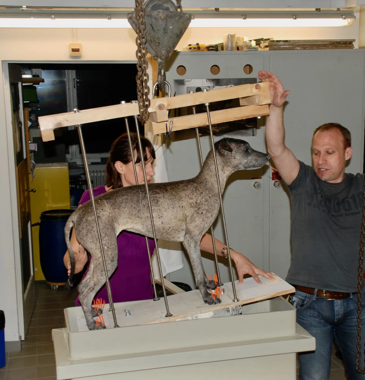 Naturhistorisches Museum-Taxidermistes.jpeg